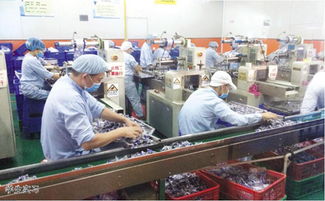 仲愷農業工程學院輕工食品學院通信工程專業探秘